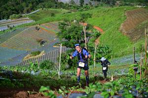 BIB: 
                            <button type="button" onclick="openModal(13382233)" class="btn btn-primary btn-sm float-right btn-popup" data-toggle="modal" data-target=".modal-high-quality">
                        <i class="fas fa-shopping-cart"></i> Add to Cart
                    </button>
                                            <button type="button" onclick="isThisMe(13382233, true)" class="btn btn-success btn-sm float-right btn-popup btn-isme hidden" data-toggle="tooltip" data-placement="bottom" title="นี่คือรูปของคุณใช่ไหม คลิกที่นี่เพื่อเอาเข้าอัลบั้ม">
                        <i class="fas fa-plus"></i> Add to album
                    </button>
                    <button type="button" onclick="isThisMe(13382233, false)" class="btn btn-warning btn-sm float-right btn-popup btn-isnotme hidden">
                        <i class="fas fa-ban"></i> Remove from album
                    </button>